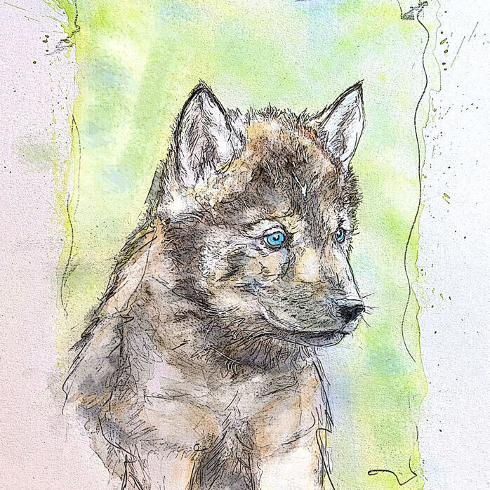 Wolf Pup - Halbmond