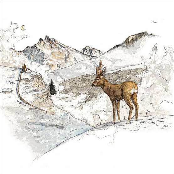 WINTER ÜBERSTANDEN - REHBOCK