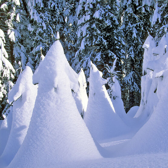 WINTERZAUBER