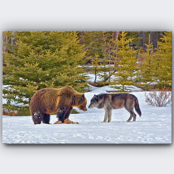 MOMENT OF TRUCE