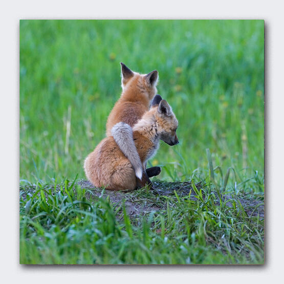 Best Friends