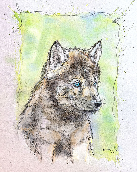 Wolf Pup - Halbmond