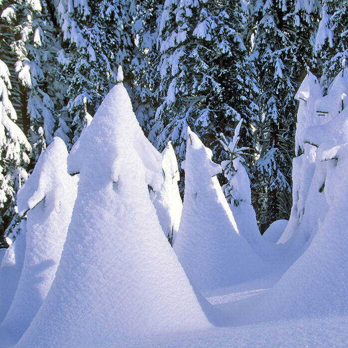 WINTERZAUBER