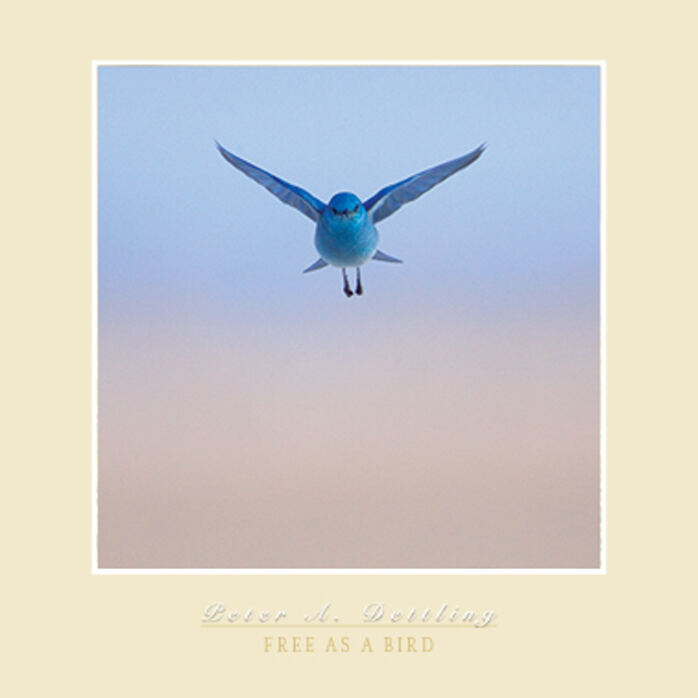 FREE AS A BIRD