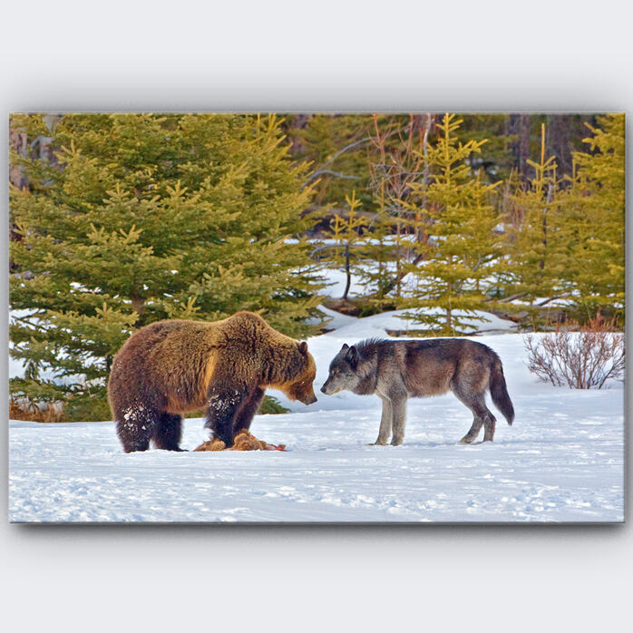 MOMENT OF TRUCE